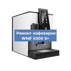 Декальцинация   кофемашины WMF 5000 S+ в Ижевске